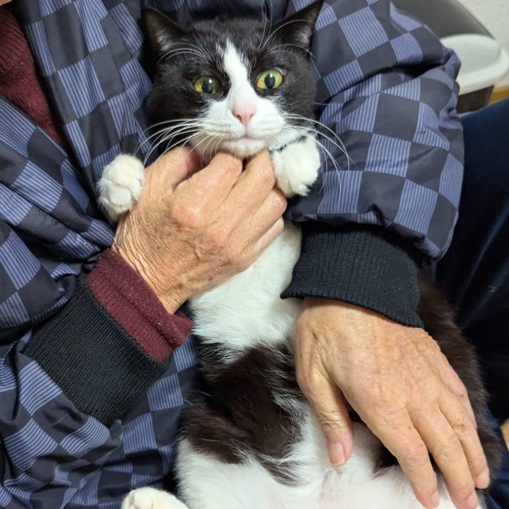 F10c2482 8b33 4b07 b3f3 ab57b380d4dc 1737872893986