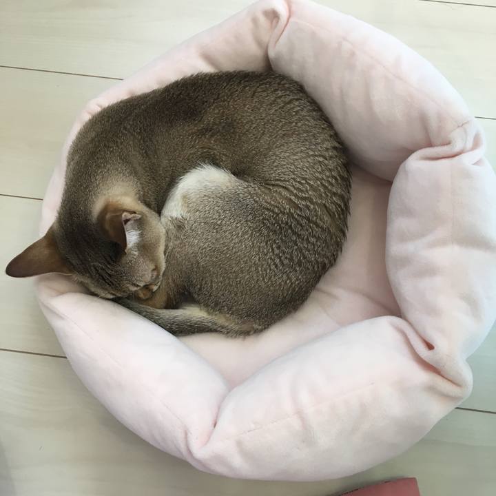 F10c2841 8cb4 4cfc 9efa c0b95ac38146 1514596069892