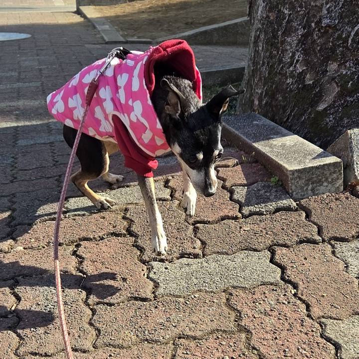 F10c73c9 a3ab 49ec acaf f982bfb44814 1768442526926