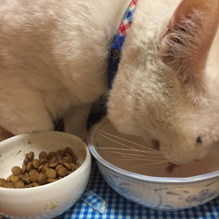 F10cf6f7 46bc 4da0 88a7 a1e1571d56b8 1576531720512