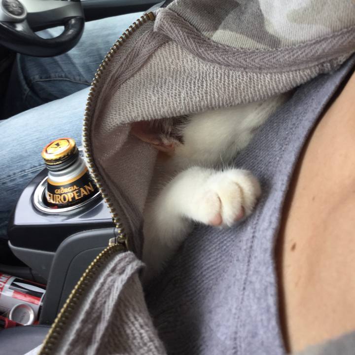 F10d07f5 fdcc 4e5a a6b5 f3f6548beee6 1541289680589