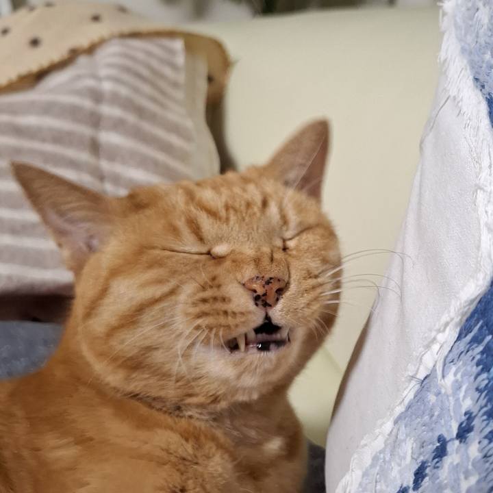 F10d1a43 4bfb 49b7 b0a7 422f3bd2bc3b 1749683647831