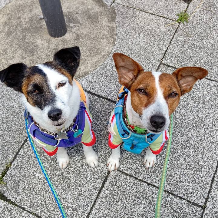 F10d6049 4f66 46b7 b30e 78f76ab275a0 1653185003913