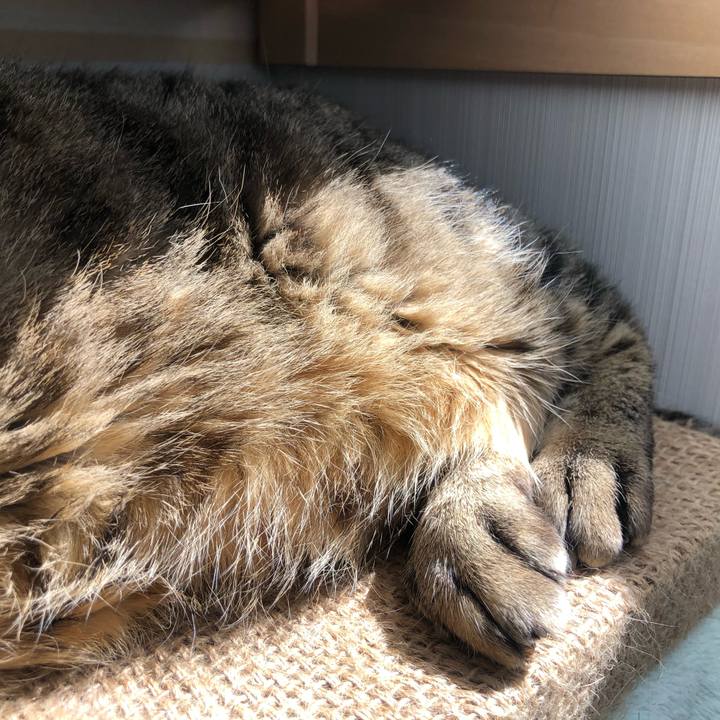 F10d65be 268b 43a7 8a17 3583b8f4ca44 1619383003256