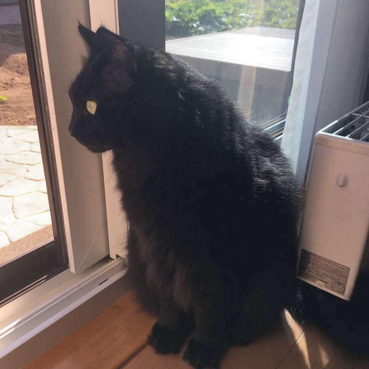 F10da4dc 568e 4bf2 ba54 5406f06aa7fa 1557643481420