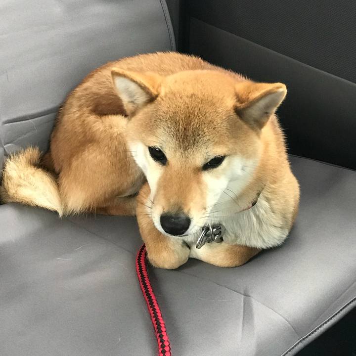 F10dbbf0 ef2f 44de 9065 4313a44f0694 1519627861502