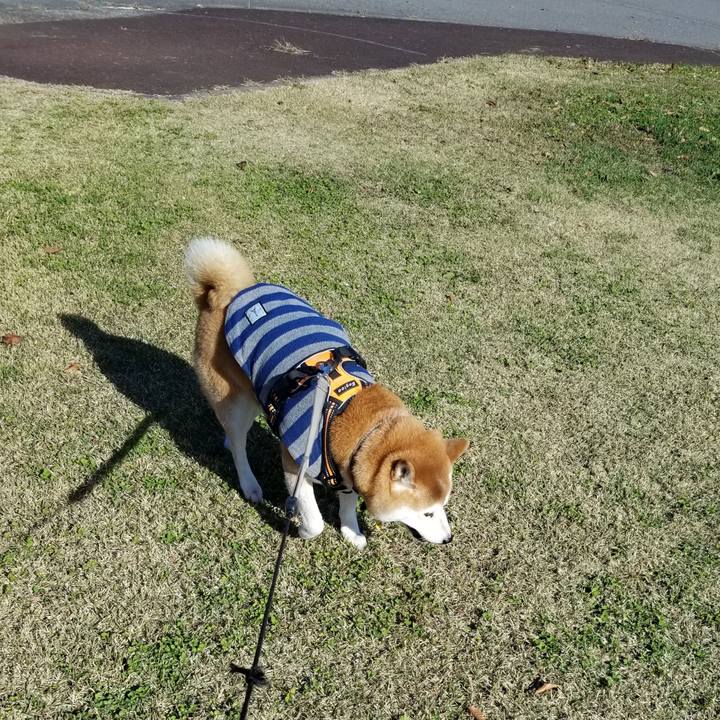 F10dc8cb 6cc1 46c9 8d3e 7c6d15a20987 1637036508493