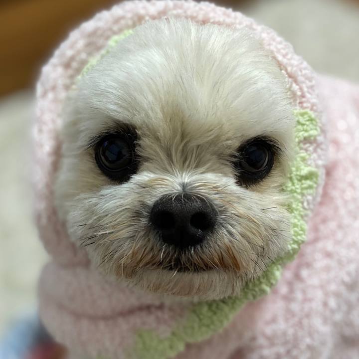 F10df997 f836 4cf5 9bd2 8db322425287 1588769127980