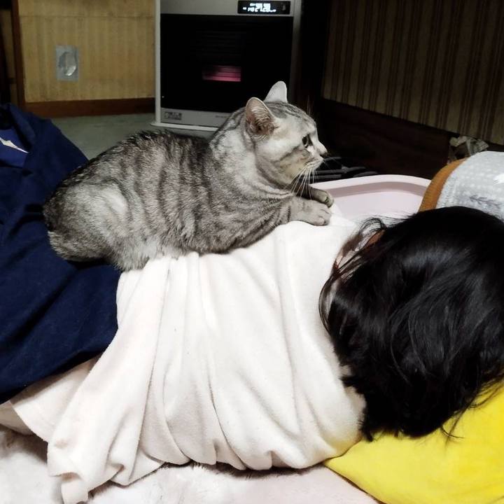 F10dfb05 833e 4040 afbc 825e2d517ce1 1767061412233