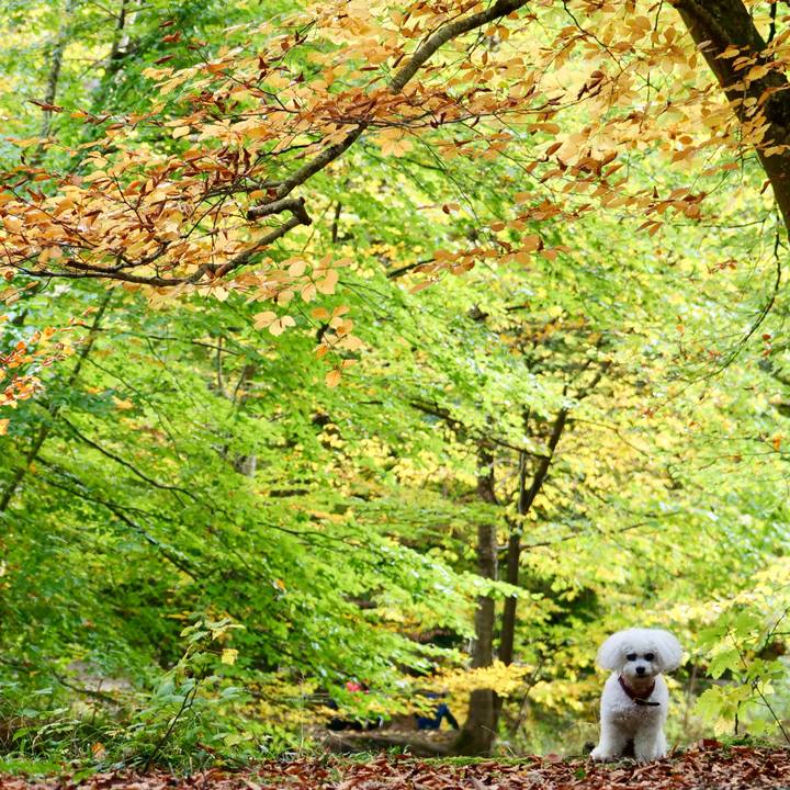 F10e14ea d709 4d4c adf3 beaddfd4e748 1760994527707