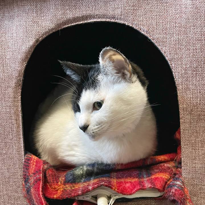 F10e82f7 27f3 4b69 9976 47b834f97c9e 1769122275803