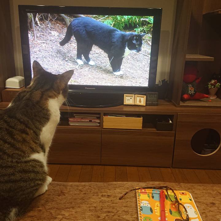 F10e8d00 d40b 4272 9044 8dcc95a38c88 1615938577160