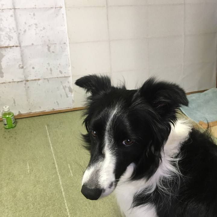 F10e8de4 a875 41f9 98a6 43035188a8d8 1514603454882