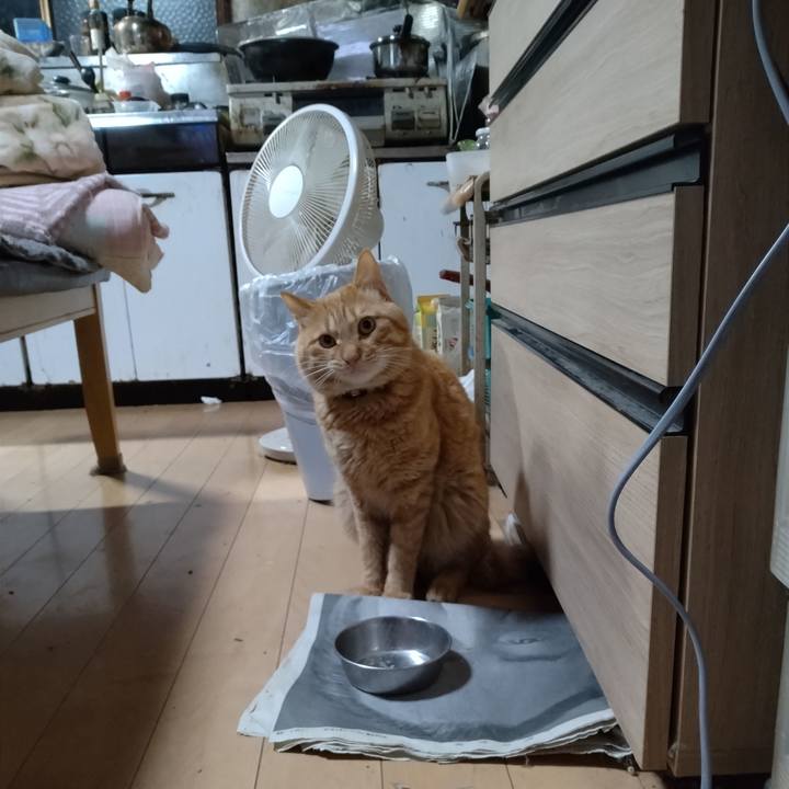 F10e9167 b5f5 42c8 9c0d 21d41c5ee6f0 1670324646101