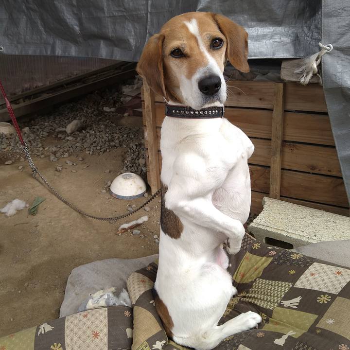 F10e9d60 719e 40be 87ef 8716f6fbbd36 1640328338193