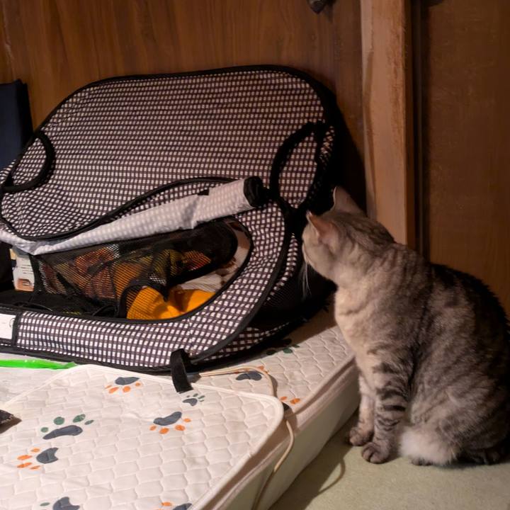 F10ebd7e 488a 486b b5ea 0b6f7b696a03 1759944199899