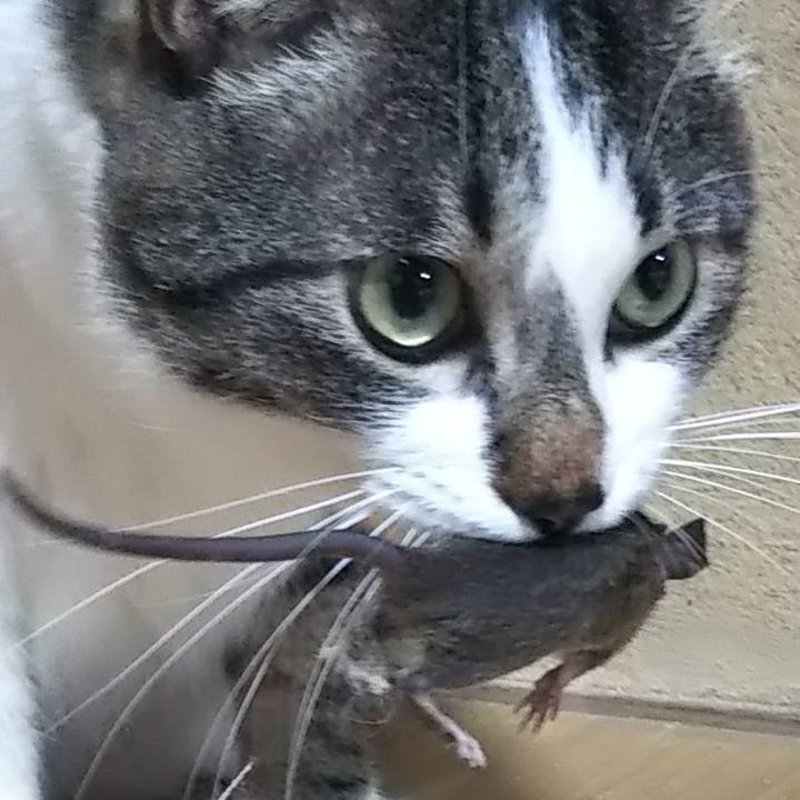 F10ec622 70a6 48b0 890f 7f051c2f9f97 1601561417250