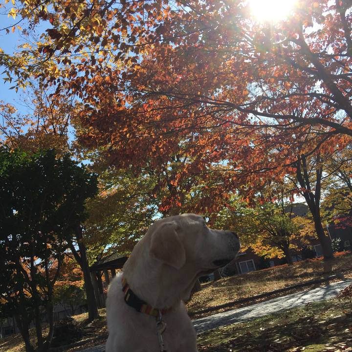 F10ed936 a828 48c7 8a2e 4da109c2c16b 1547298710608