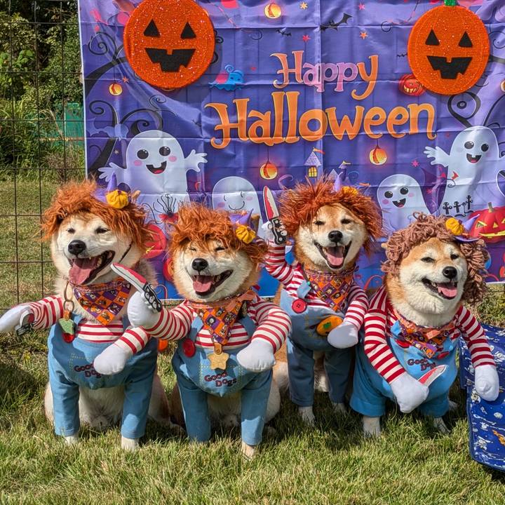 F10f18d2 8ebf 4449 9ead aa3ea20db6df 1730456878939