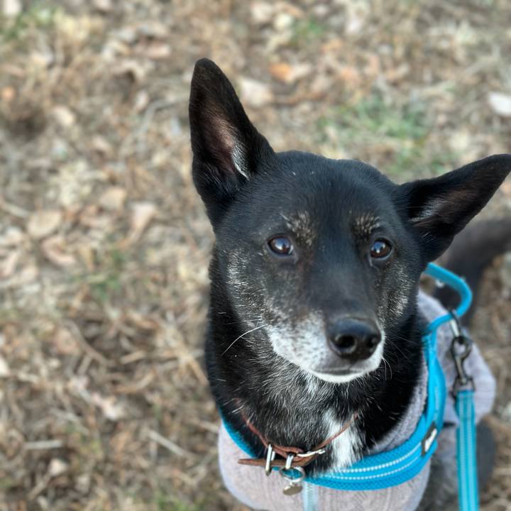 F10f1cca a55d 40a2 9116 f2bdfbf119c2 1671763242694