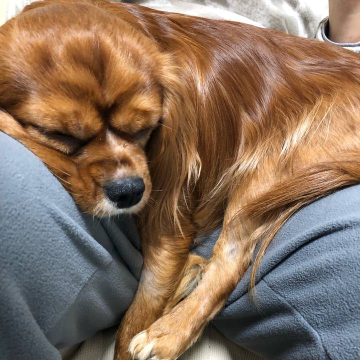 F10f7c46 d96b 4016 bc1a dcbf3e1f1dbf 1549404949134