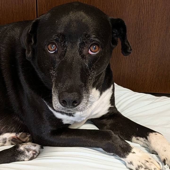 F10fbc88 234e 471f a362 d05de49377ba 1721352496613