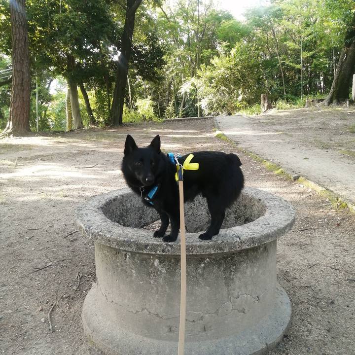 F10fbfc9 b1c5 4f09 a86b 6ff6a12f033d 1653774210910