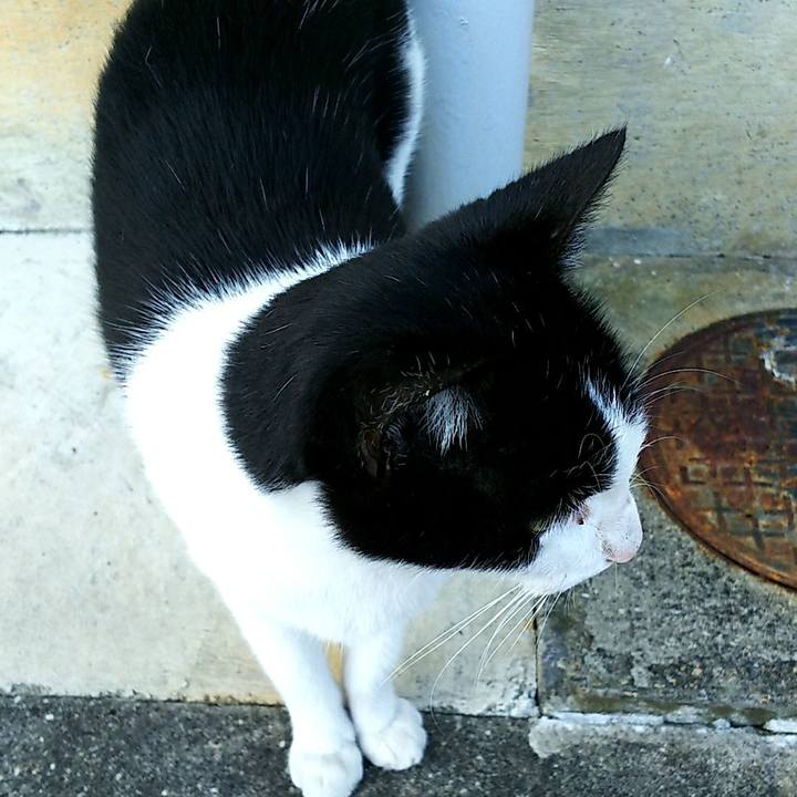 F10fd455 cc72 4b24 b607 b9ada51db0ea 1509080627428