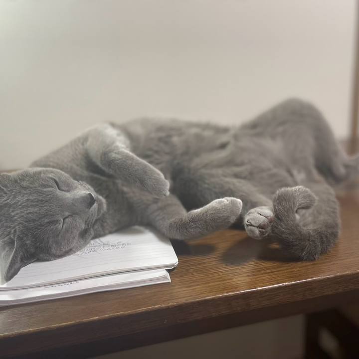 F10fd627 04d4 4e31 9b89 3e91952427d0 1737546391904