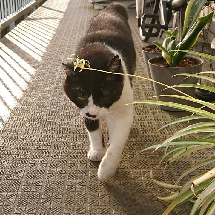 F11015c2 28f4 49b8 be63 24e165d2828e 1658699765329