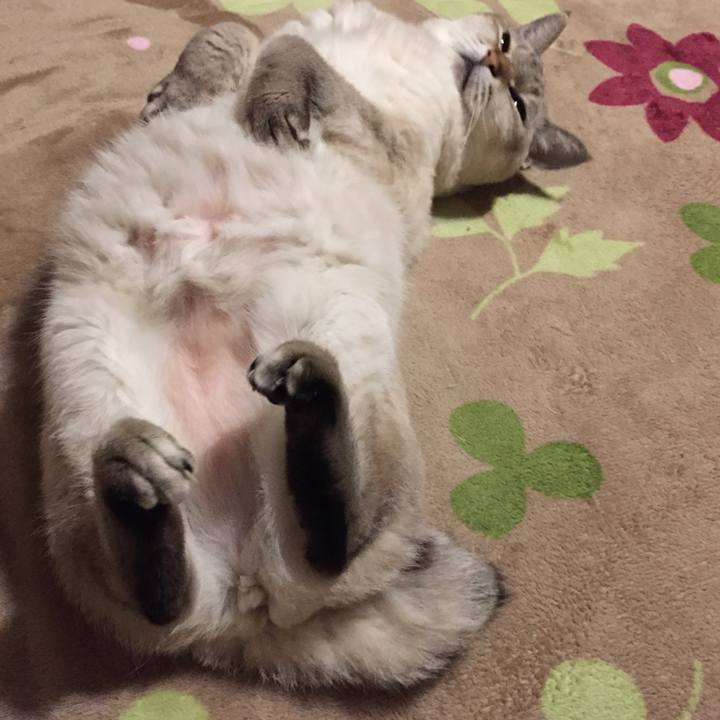 F11027bc ff27 47d1 bbbc 6550c086ad89 1543415003238