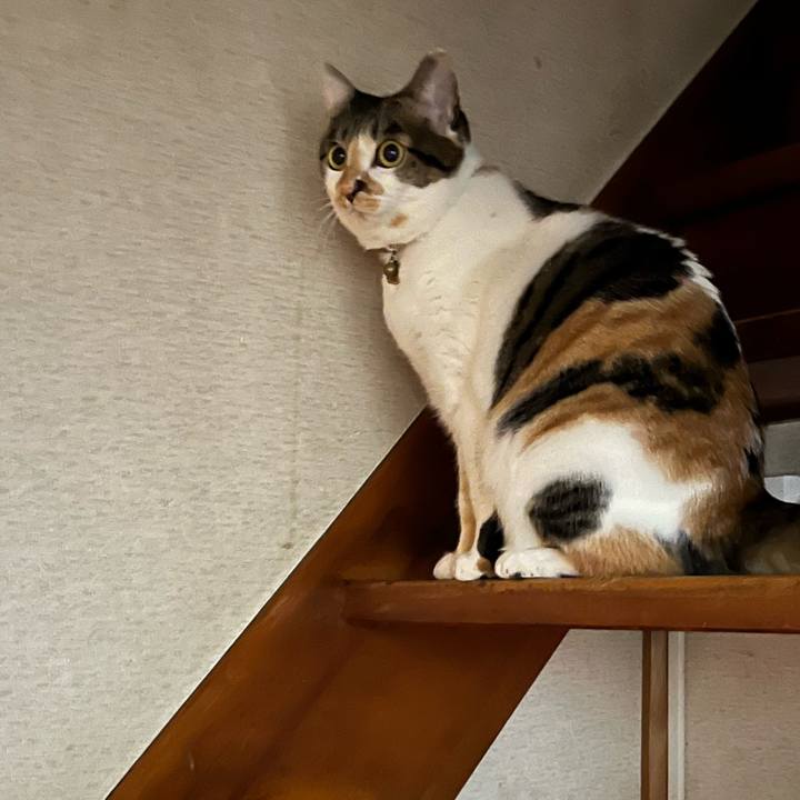 F11044a5 0e2e 47b0 81ec 68ebcbe2ba19 1761457928775