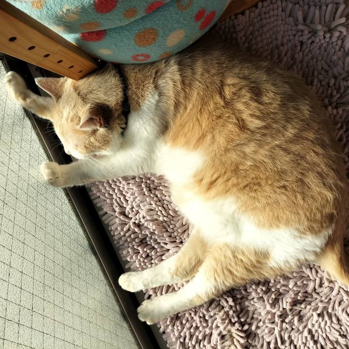 F110838f a7e8 4aaa 997f a49f79ca9af0 1632177710901