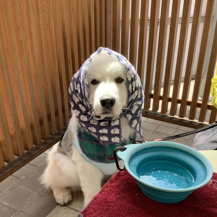 F110b6a1 6f96 40ab 918b 860382d1f097 1713668561677