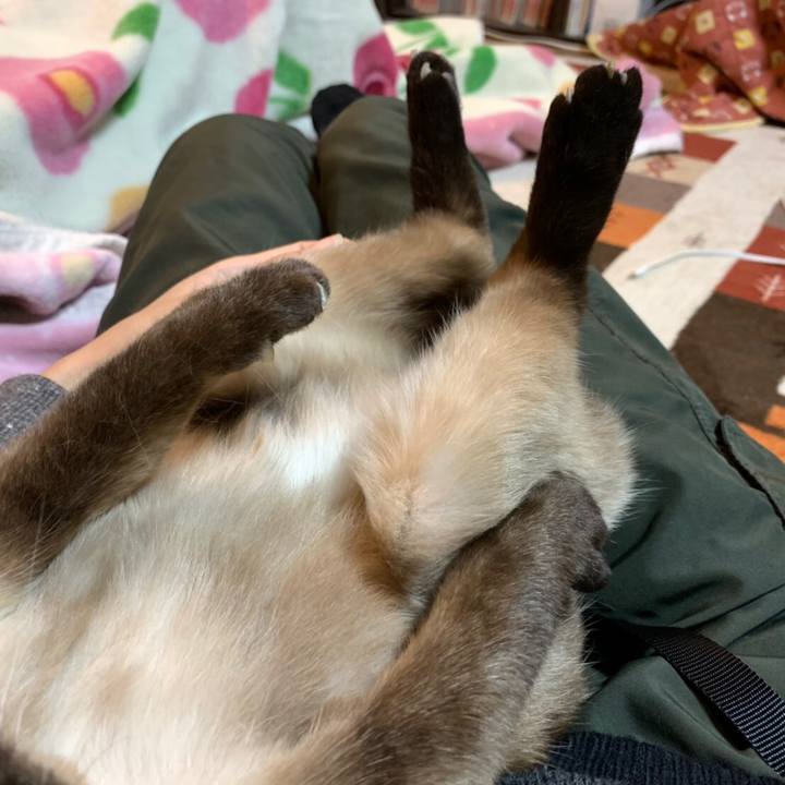 F110ba62 c1a5 405b af83 76cf0f77c9c7 1606289159721