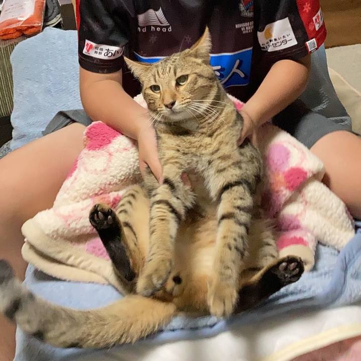 F110c080 ecd1 4110 a6c7 daa035378698 1628171074077