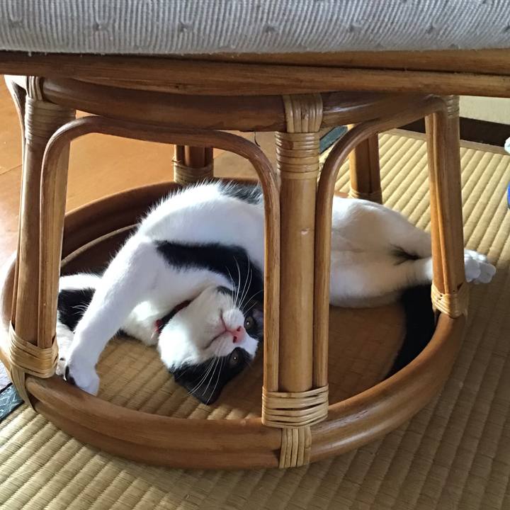 F110c5b4 bc3c 4604 aa74 b5b8505ee891 1630377350147