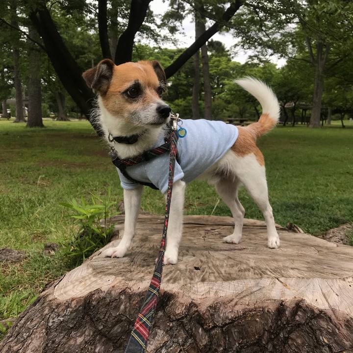 F110d6c1 169e 4b7b bfe6 307b75b03549 1527038748359