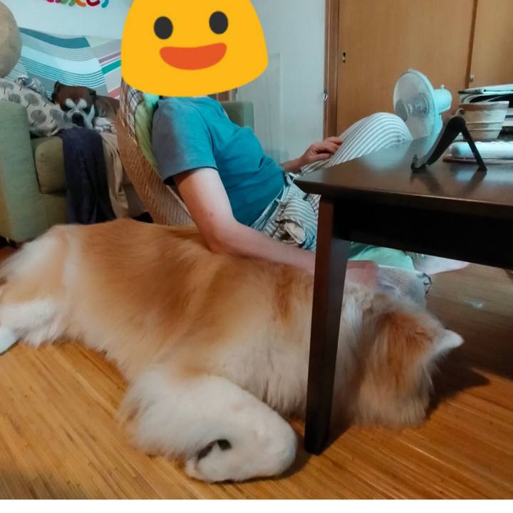 F110ea12 4668 40a7 85b4 cb025c928416 1629982563485