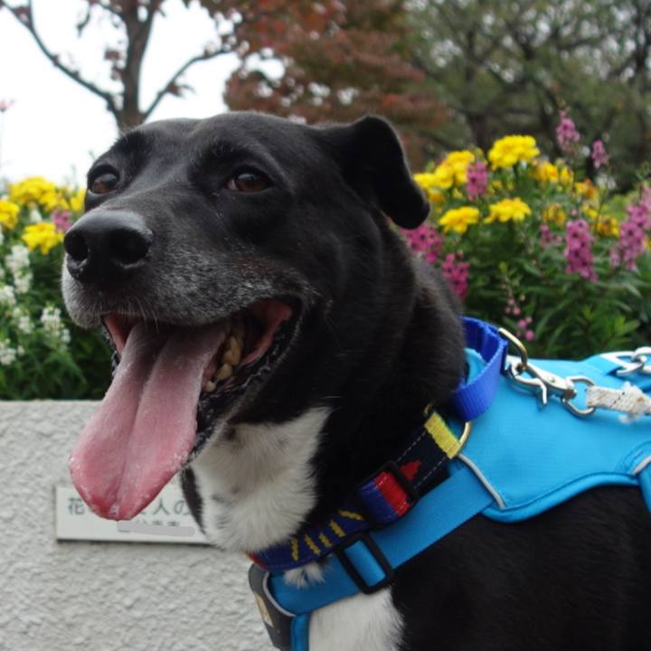 F1113dbf 7abe 4dc3 9178 bc31a75fecee 1665966632961