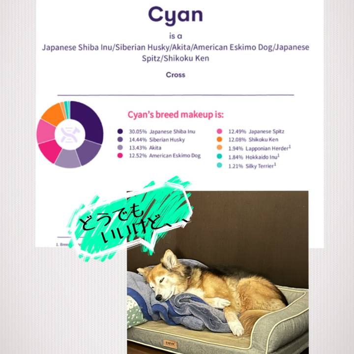 F1117662 73ba 40c0 bcbf 227a6b1e1faa 1740319181510