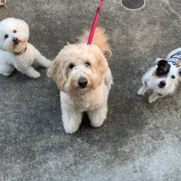 F1119c91 02be 4d1e a579 61b0315b5f72 1679992728463