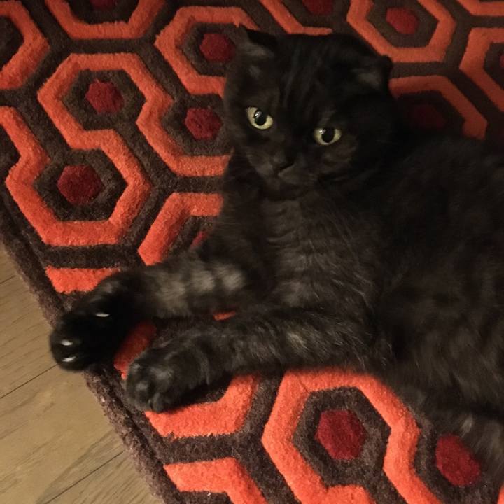 F111b392 1b57 46e7 8311 38a2a033fe54 1542089737992