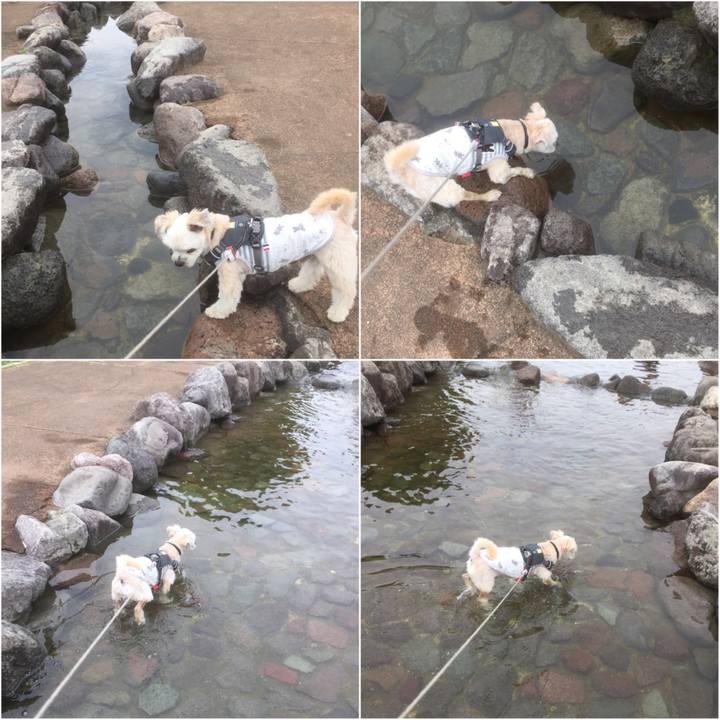 F111c19b 7503 4e9b bb32 864b5b0c6dc1 1559464587377