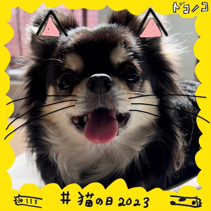 F111dfc3 e75e 427c 9aee 196148f3c0c2 1677012876124