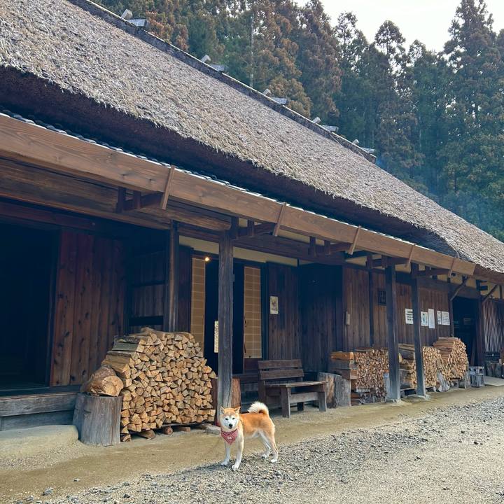 F1121968 3f78 4619 b924 2ecb49e85127 1708160038922