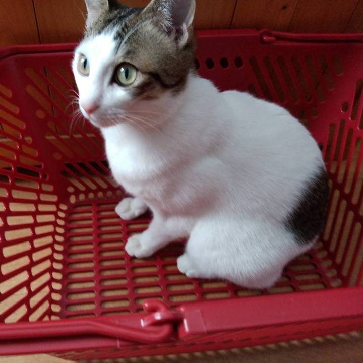 F112570e badb 4ff4 ba44 b69b9ee87663 1677675363932