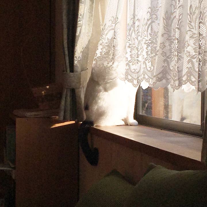 F1125e52 4c4e 4f51 ad85 019326a0ac8d 1515280146095