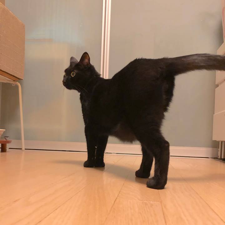 F11292ca 1ca8 4d2c a205 2f35bc9c64f0 1515067338105