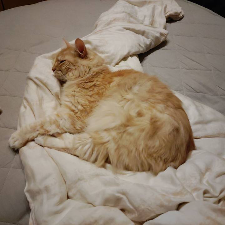 F112a046 f1d3 4368 8c95 4069efb50c03 1696164074570